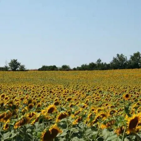 La Colonie St Joseph - De Charme Pour 9 Labastide-Saves